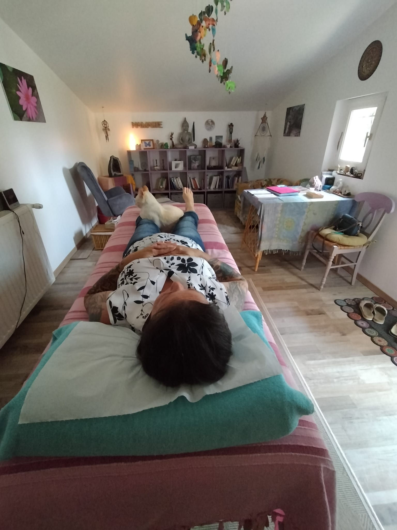 soin énergétique à distance pour chien stressé ou malade