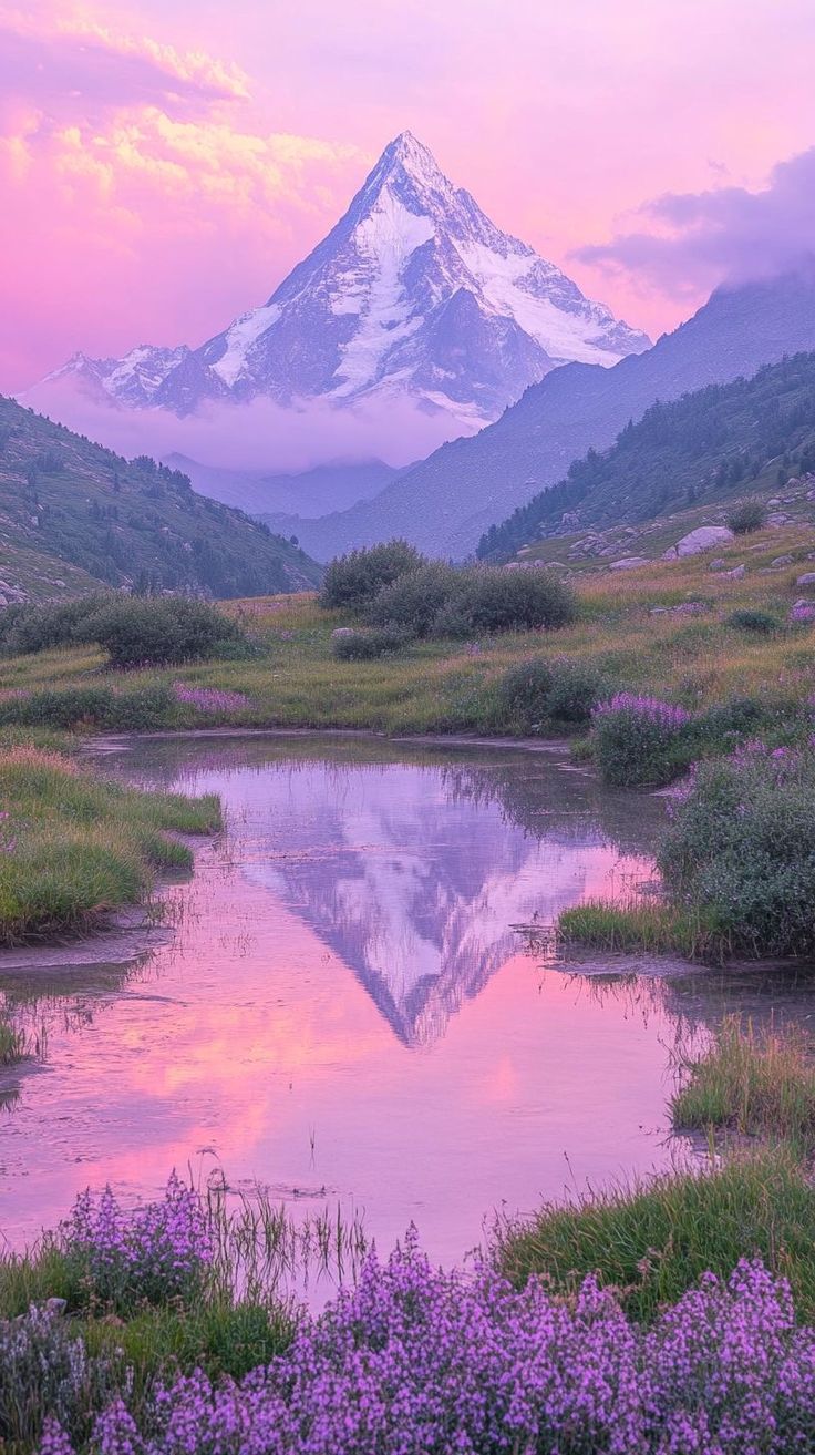 Consulter un médium thérapeute énergéticien pour guidance – Sophie Latour