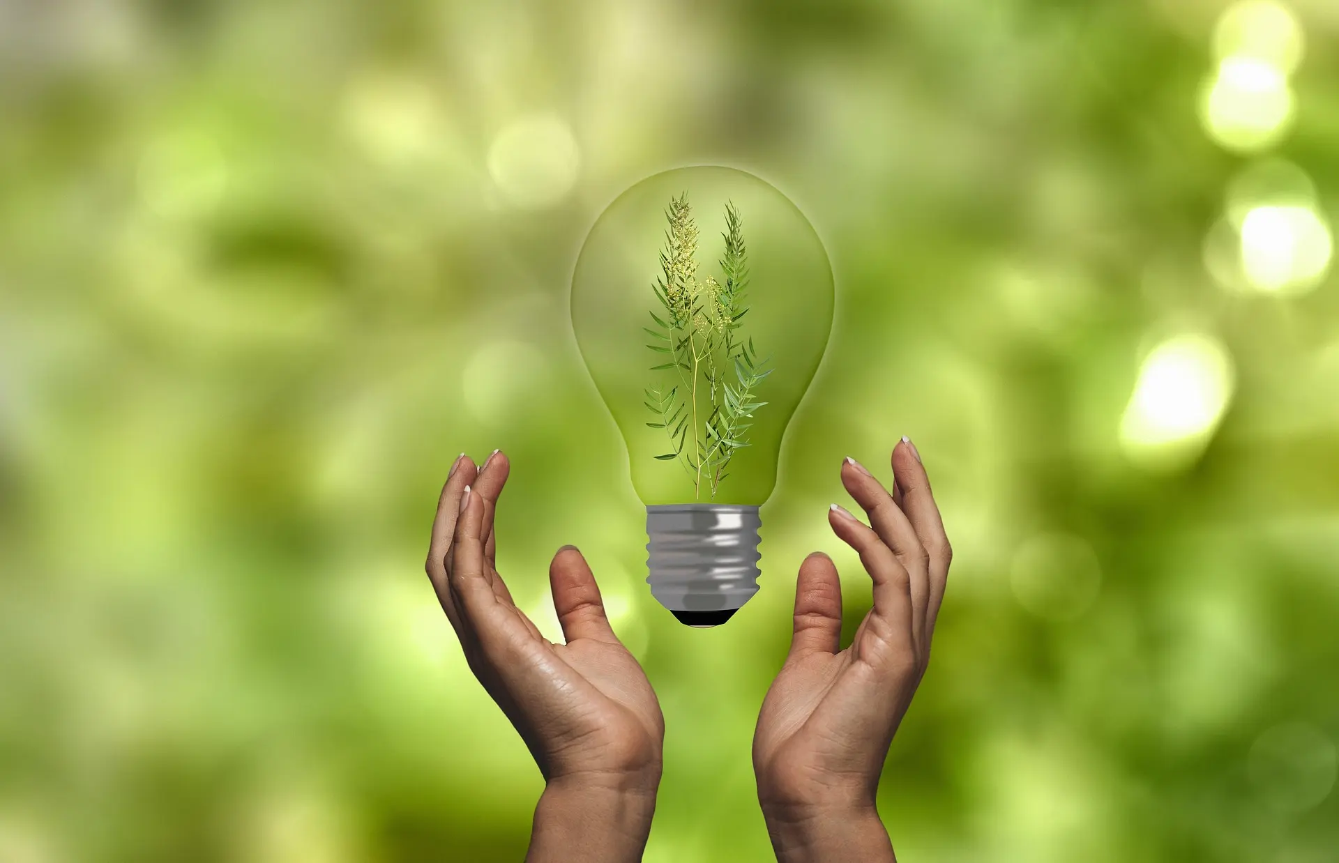 Main sujet: mains soutenant une ampoule transparente avec une plante à l’intérieur, fond vert flou. Alt: Mains tenant une ampoule renfermant une plante, symbole d’énergie et de clarté.