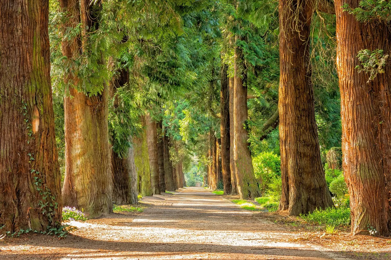 Accompagnement spirituel : définition, rôle et limites